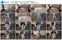 【【嗷嗷】犬化】奴化 一步步沉沦，最终被驯化的JK萝莉