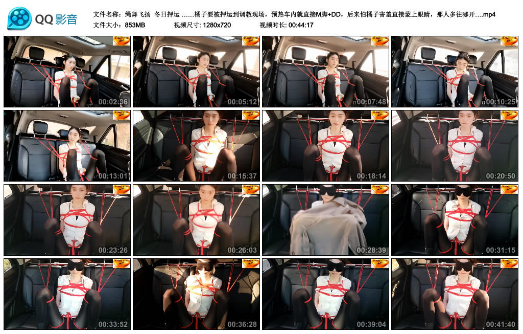 【绳舞飞扬】冬日押运 ……橘子要被押运到调教现场，预热车内就直接M脚 DD，后来怕橘子