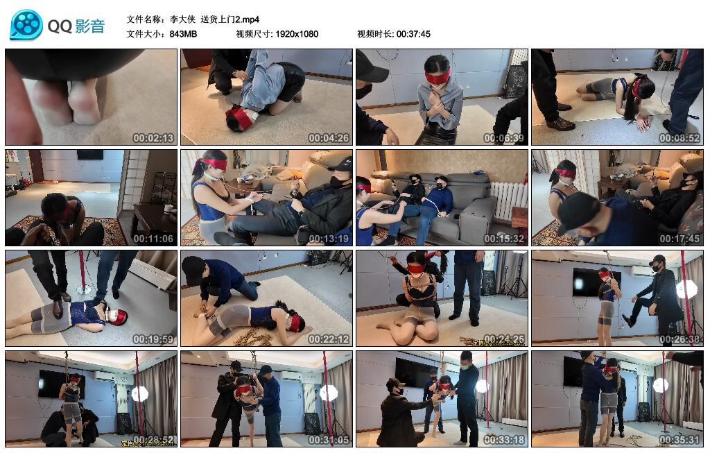 【李大侠】送货上门2