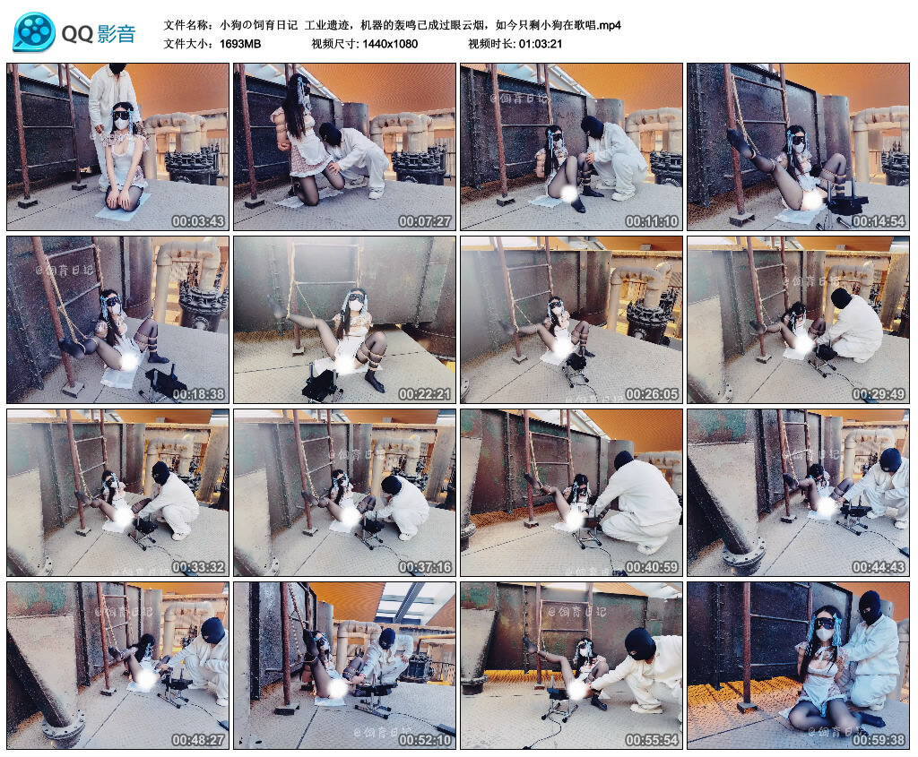 【小狗の饲育日记】工业遗迹，机器的轰鸣已成过眼云烟，如今只剩小狗在歌唱