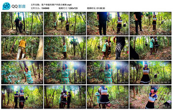 客户体验约绑户外的小树林