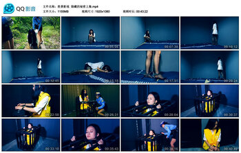 【胜景影视】隐藏的秘密上集