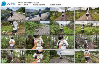 小叶林间奇遇记（上）