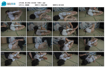 【象人原创】小0-实验一个驷马！