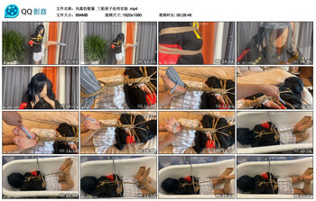 【风霜的筱酱】三船栞子处刑实验