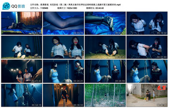 【胜景影视】双花卧底（第二集）