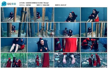 胜景影视 烈女奇案 下集