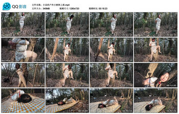 小朵的户外小树林上部