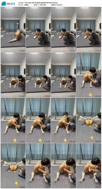 【【母犬训练计划】TD】震动B ZW棒强高 SP 爬行训练